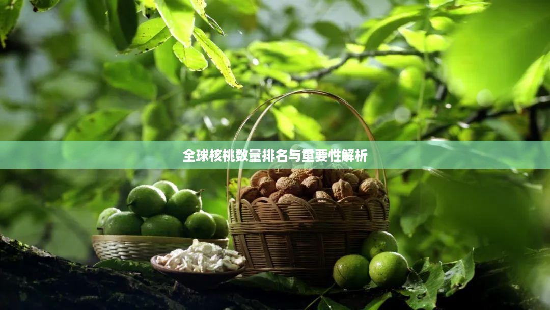 全球核桃数量排名与重要性解析