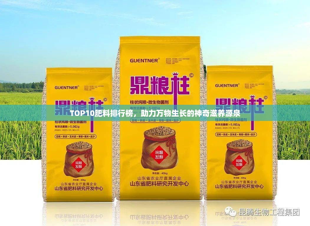 TOP10肥料排行榜，助力万物生长的神奇滋养源泉