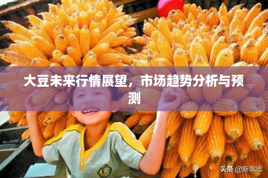 大豆未来行情展望，市场趋势分析与预测