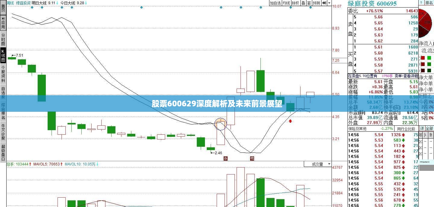 股票600629深度解析及未来前景展望