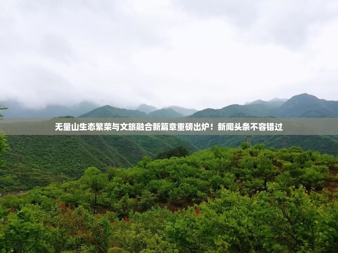 无量山生态繁荣与文旅融合新篇章重磅出炉！新闻头条不容错过