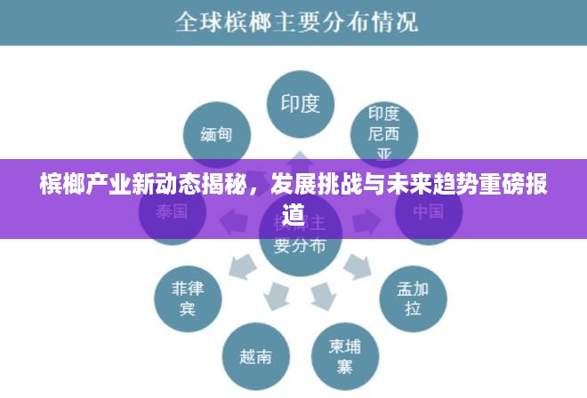 槟榔产业新动态揭秘，发展挑战与未来趋势重磅报道