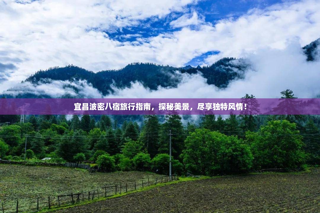 宜昌波密八宿旅行指南，探秘美景，尽享独特风情！