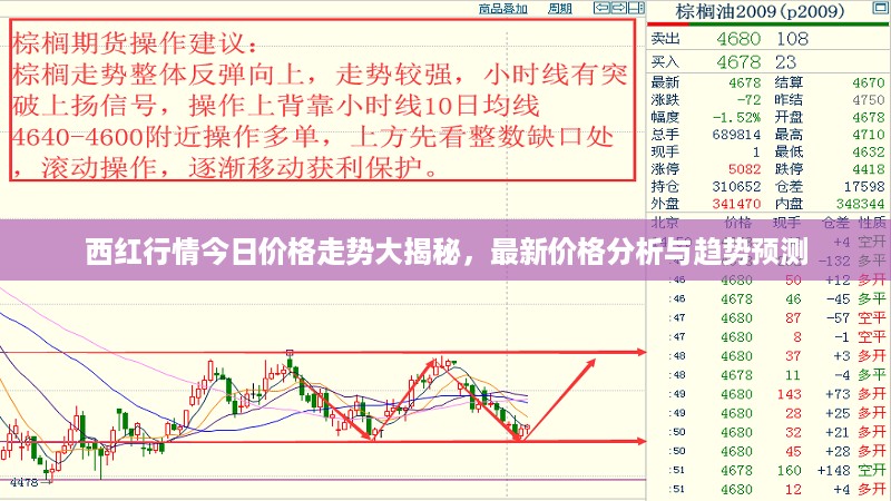 西红行情今日价格走势大揭秘，最新价格分析与趋势预测