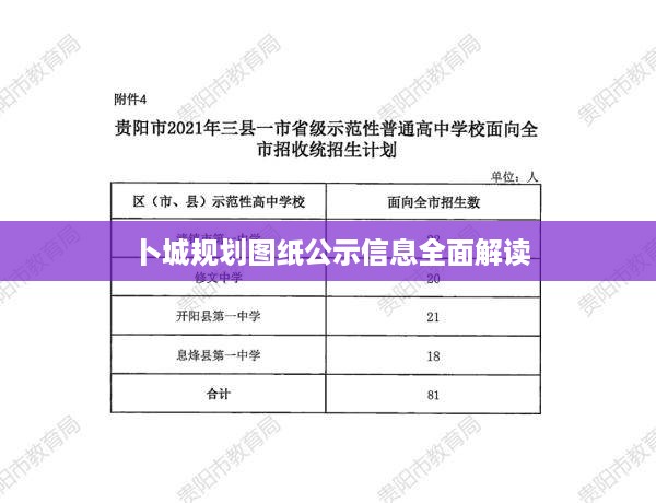 卜城规划图纸公示信息全面解读