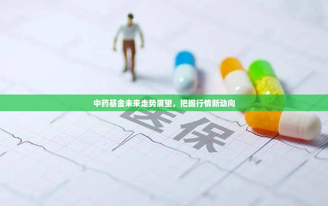 中药基金未来走势展望，把握行情新动向