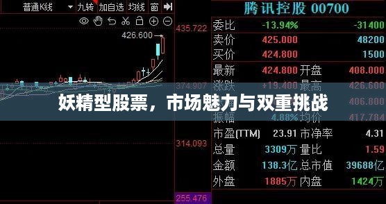 妖精型股票，市场魅力与双重挑战