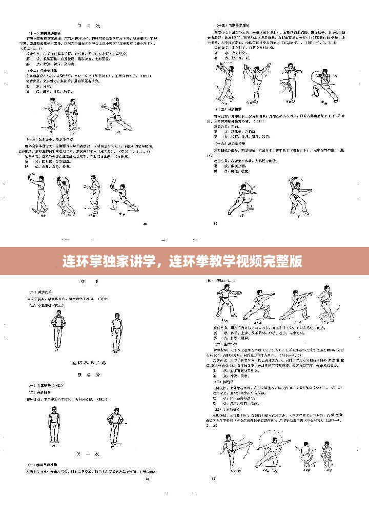 连环掌独家讲学，连环拳教学视频完整版 