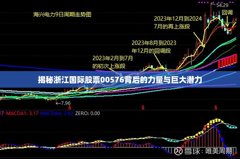 揭秘浙江国际股票00576背后的力量与巨大潜力