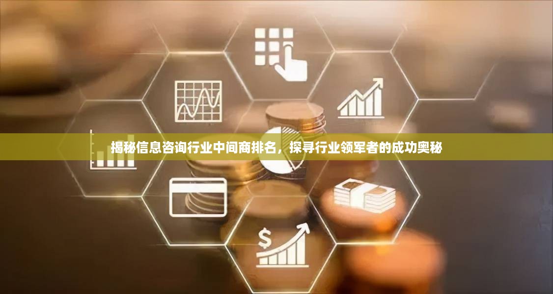 揭秘信息咨询行业中间商排名，探寻行业领军者的成功奥秘