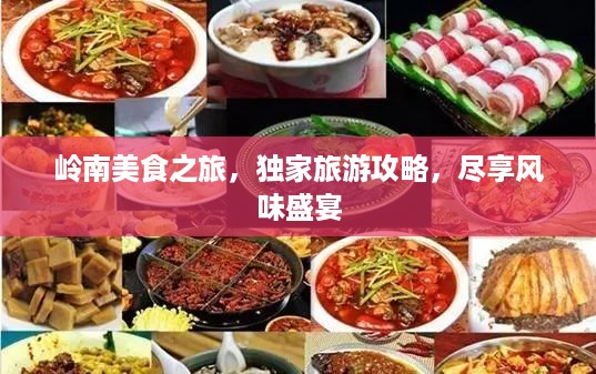 岭南美食之旅，独家旅游攻略，尽享风味盛宴