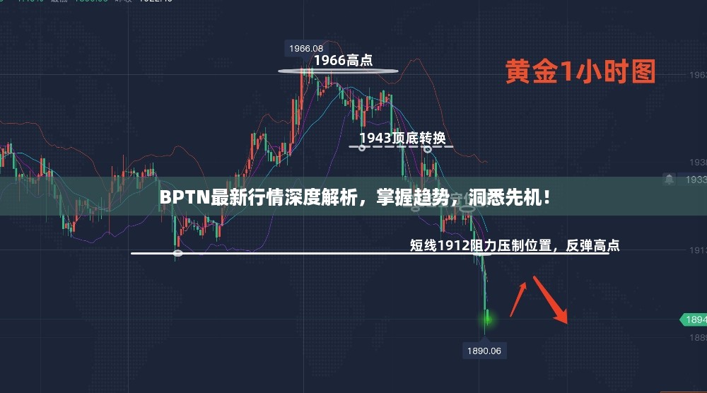 BPTN最新行情深度解析，掌握趋势，洞悉先机！