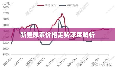 新疆尿素价格走势深度解析