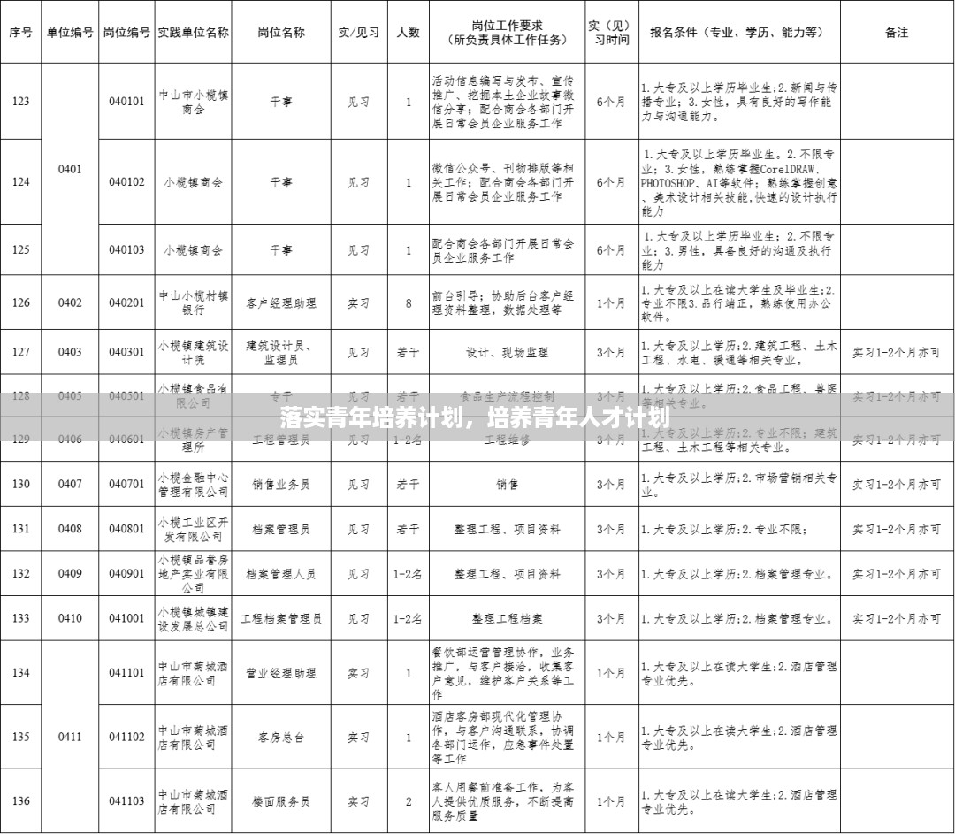 落实青年培养计划，培养青年人才计划 