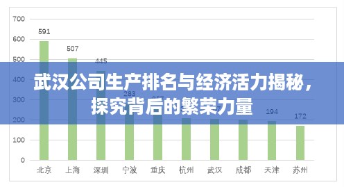 武汉公司生产排名与经济活力揭秘，探究背后的繁荣力量